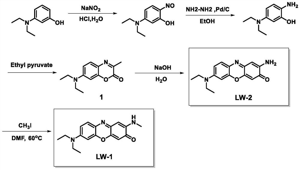 Difunctional fluorescent probe for detecting lipid droplets and/or protein aggregates as well as preparation method and application of difunctional fluorescent probe