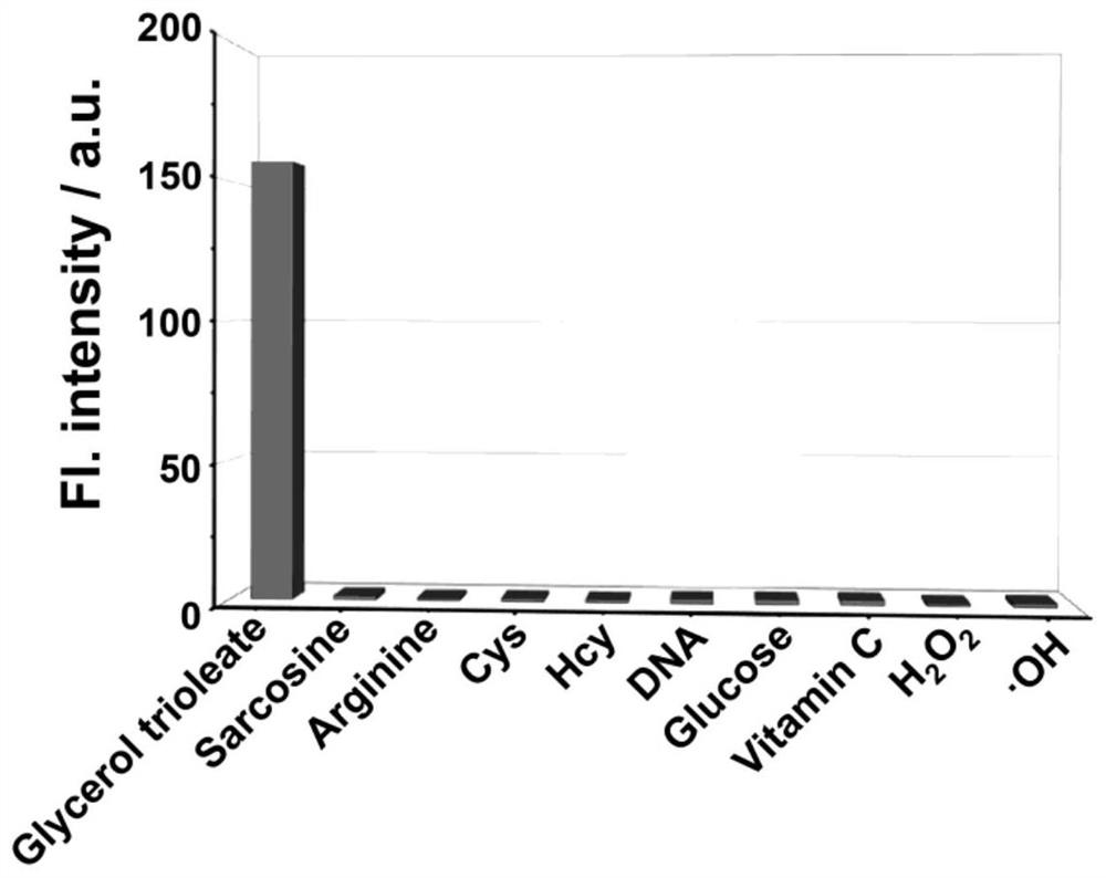 Difunctional fluorescent probe for detecting lipid droplets and/or protein aggregates as well as preparation method and application of difunctional fluorescent probe