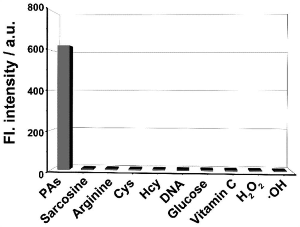 Difunctional fluorescent probe for detecting lipid droplets and/or protein aggregates as well as preparation method and application of difunctional fluorescent probe