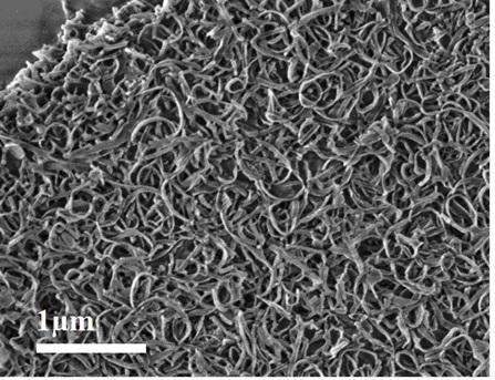 Mesoporous silica nanoribbon material and production method thereof