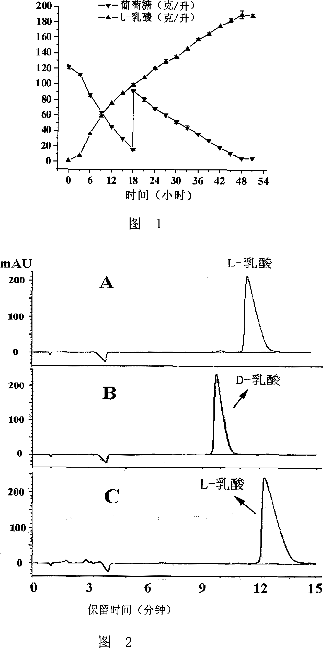 Method for producing L-lactic acid and coagulate bacillus cereus special for the same