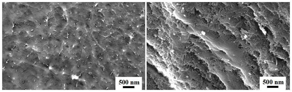 Preparation method of high-strength hydrogel imitating insect skin structure