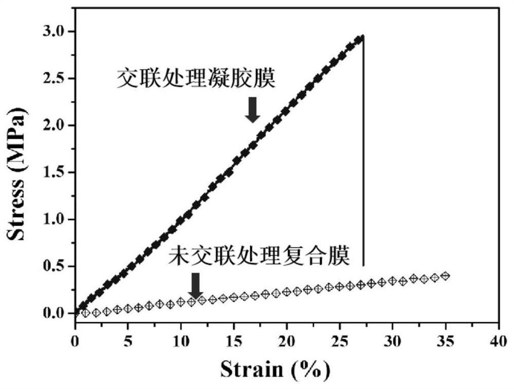 Preparation method of high-strength hydrogel imitating insect skin structure