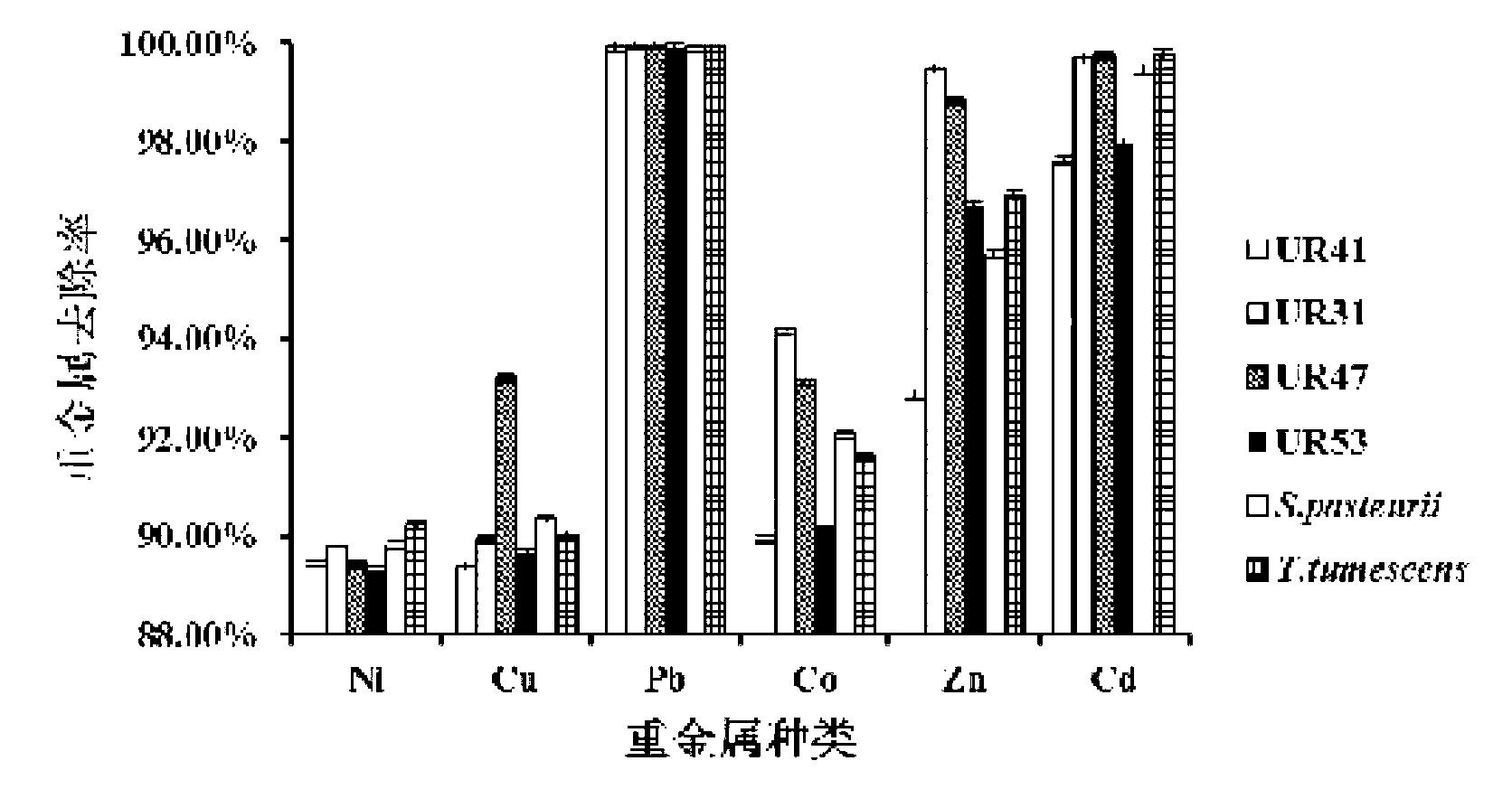 Urease-producing microbes and curing method for heavy metals in foundation