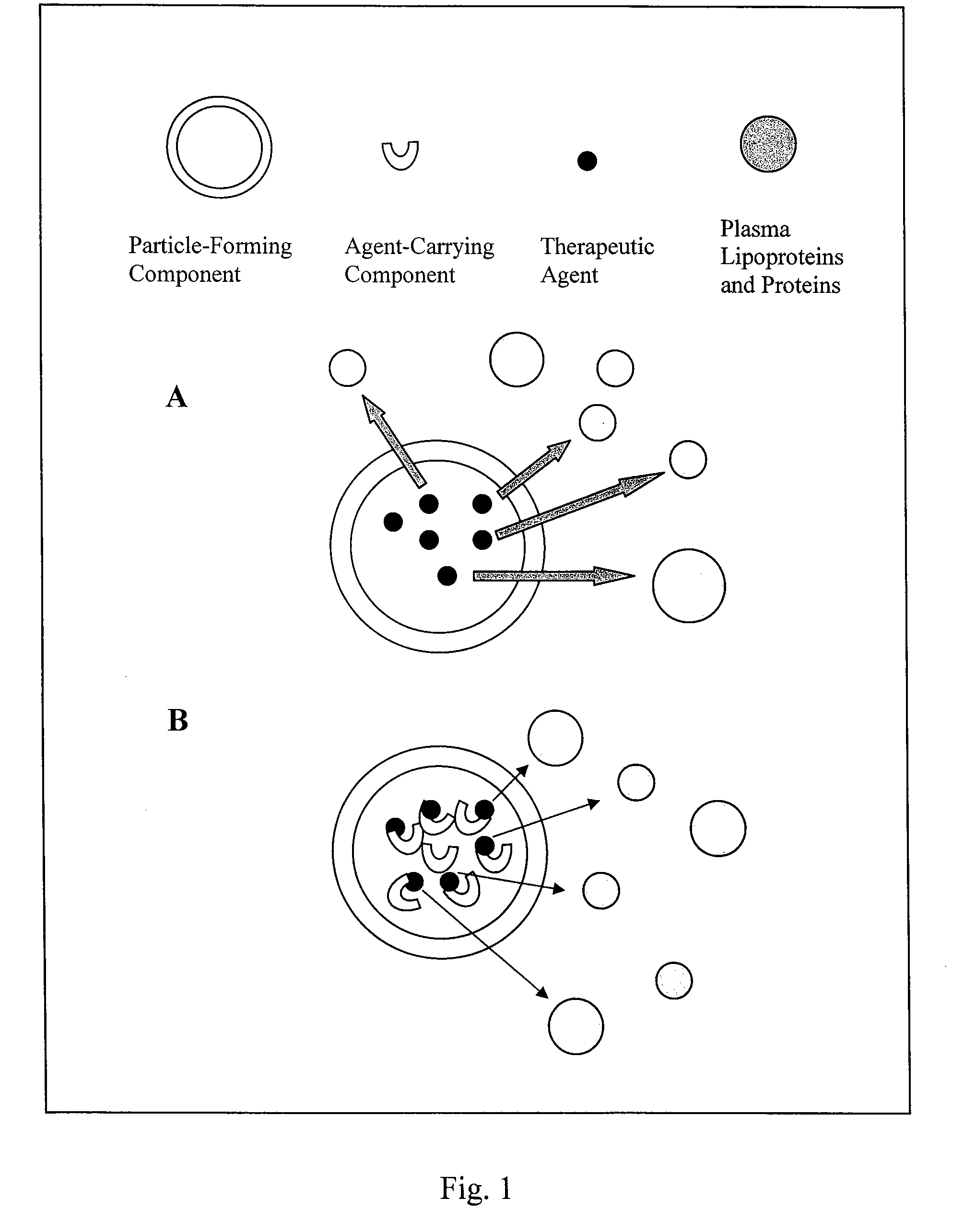 Liposome composition for delivery of a therapeutic agent to eyes
