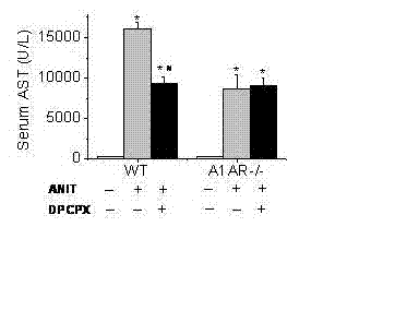 Application of adenosine receptor A1 antagonist in preparing medicine