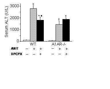 Application of adenosine receptor A1 antagonist in preparing medicine