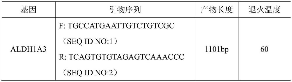Application of chicken molecular marker combination as detection site for authenticating intermuscular fat width of chicken