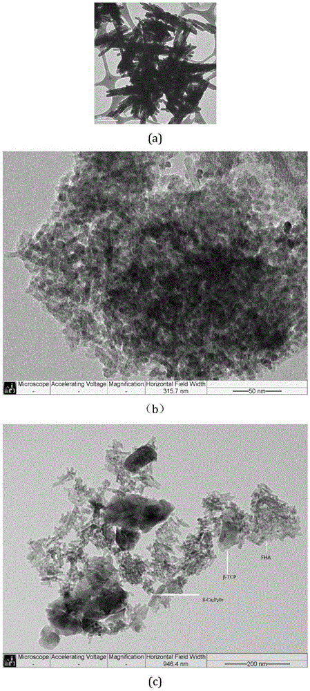 FHA/beta-TCP/beta-Ca2P2O7 three-phase ceramic preparation method