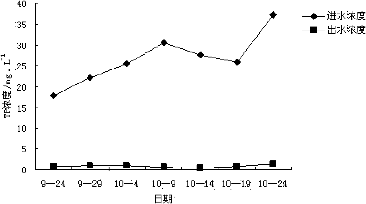 Application of valerian in treating livestock breeding wastewater