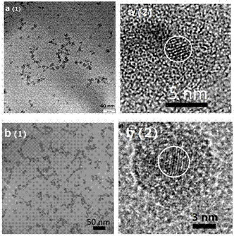 High-fluorescent brightness quantum dot composite particle, immunological detection probe and preparation method of the high-fluorescent brightness quantum dot composite particle