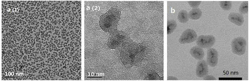High-fluorescent brightness quantum dot composite particle, immunological detection probe and preparation method of the high-fluorescent brightness quantum dot composite particle