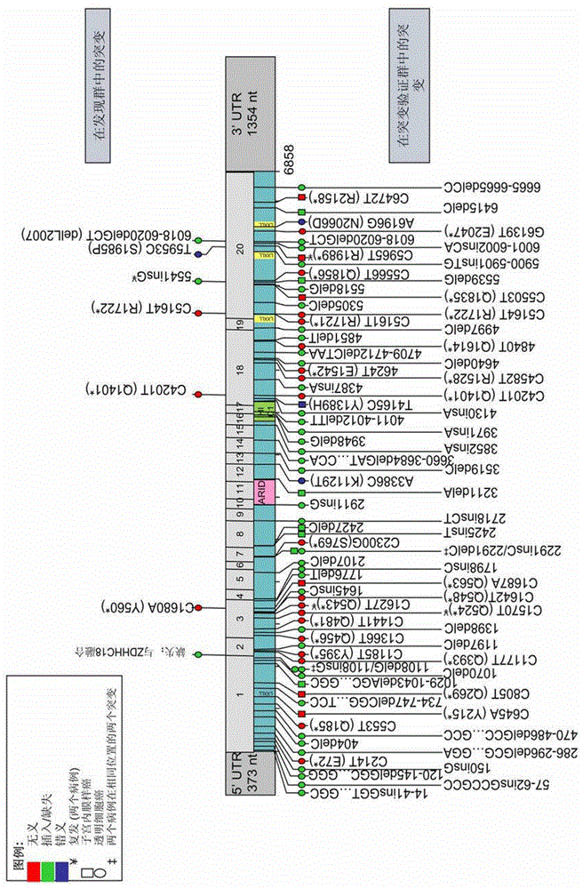 New ovarian cancer biomarkers and targets