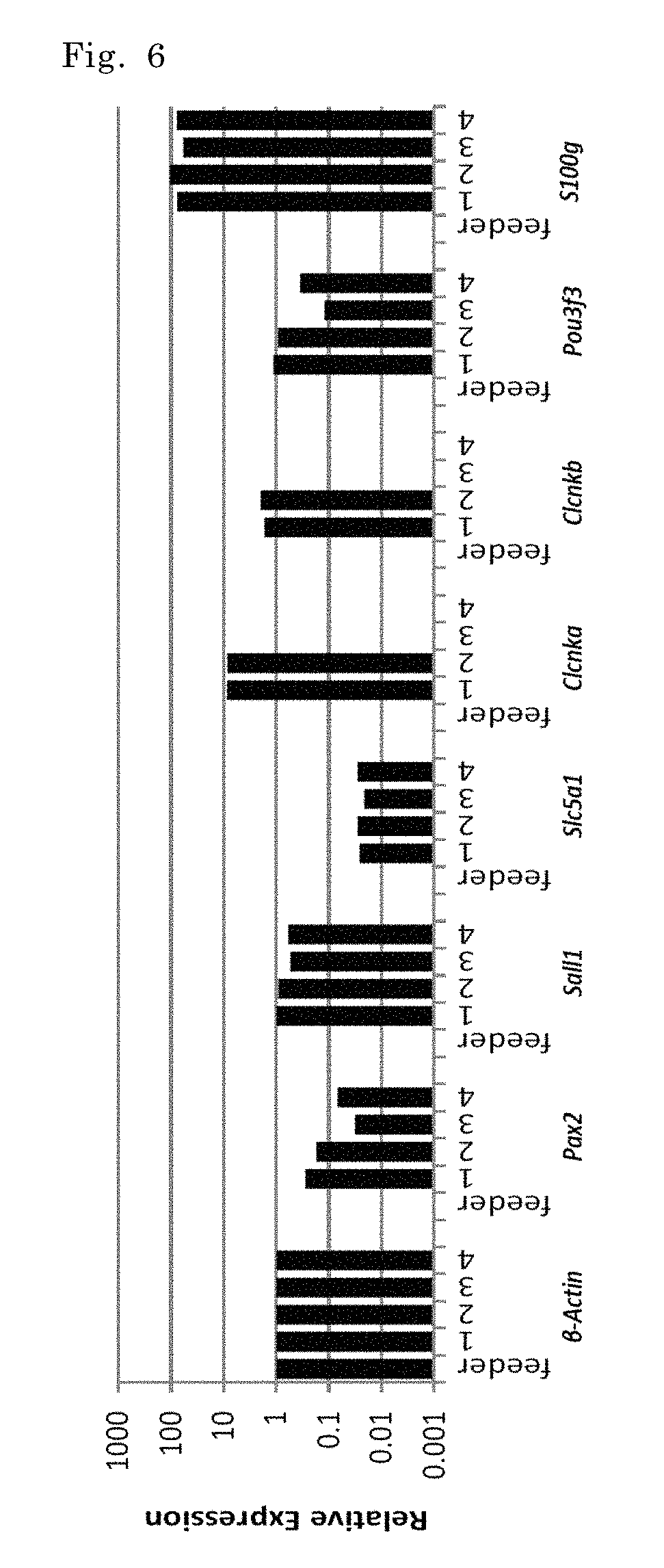 Method of inducing kidney from pluripotent stem cells