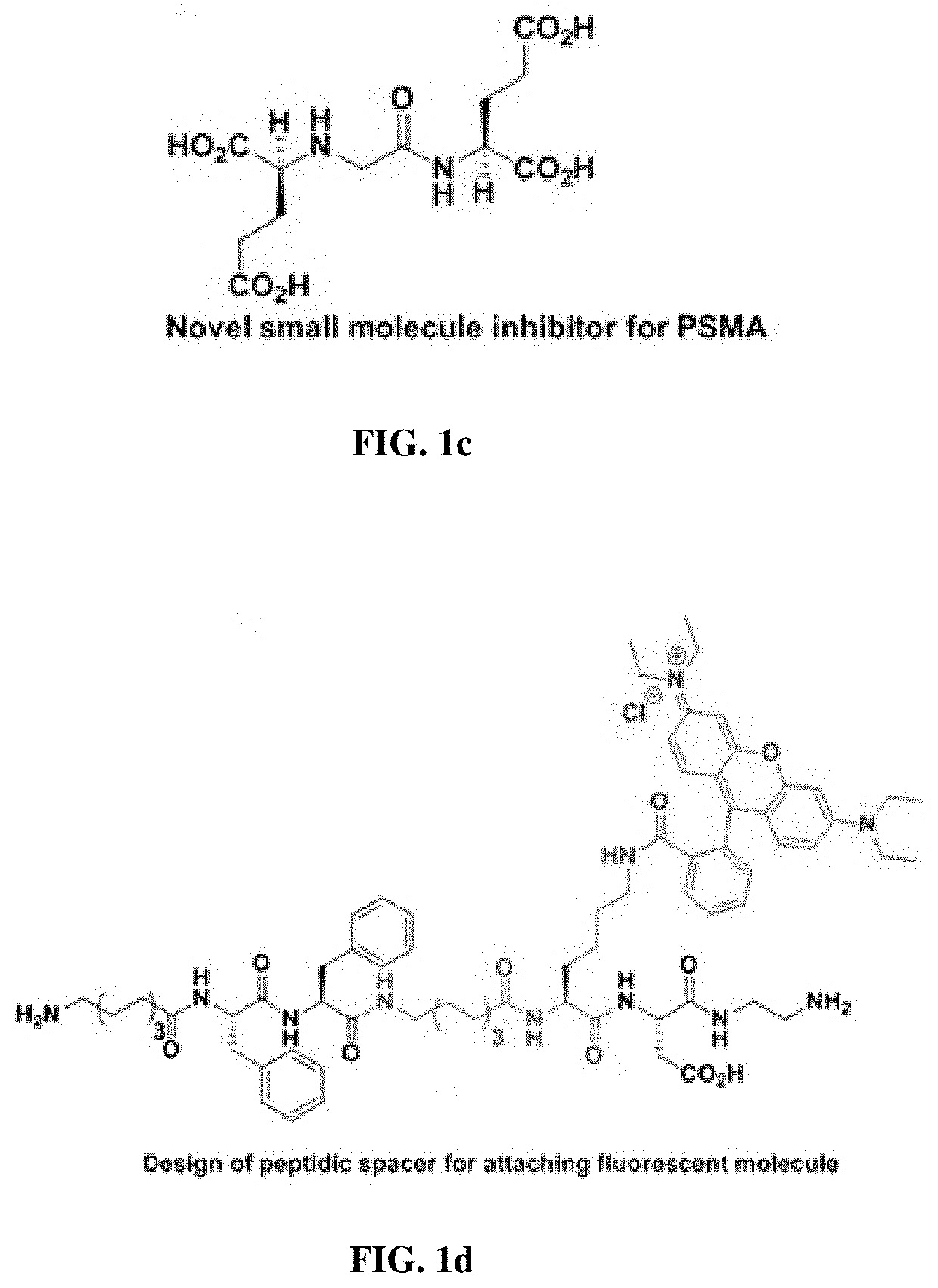 Small molecule inhibitors for early diagnosis of prostate specific membrane antigen cancers and neurodegenerative diseases
