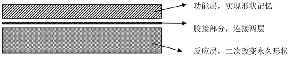 Method for preparing shape memory polymer device with complex permanent shape by utilizing secondary crosslinking and application of shape memory polymer device