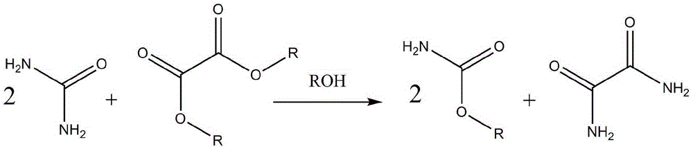 Process method of co-production of oxamide and carbamic acid ester through ammonia ester exchange method