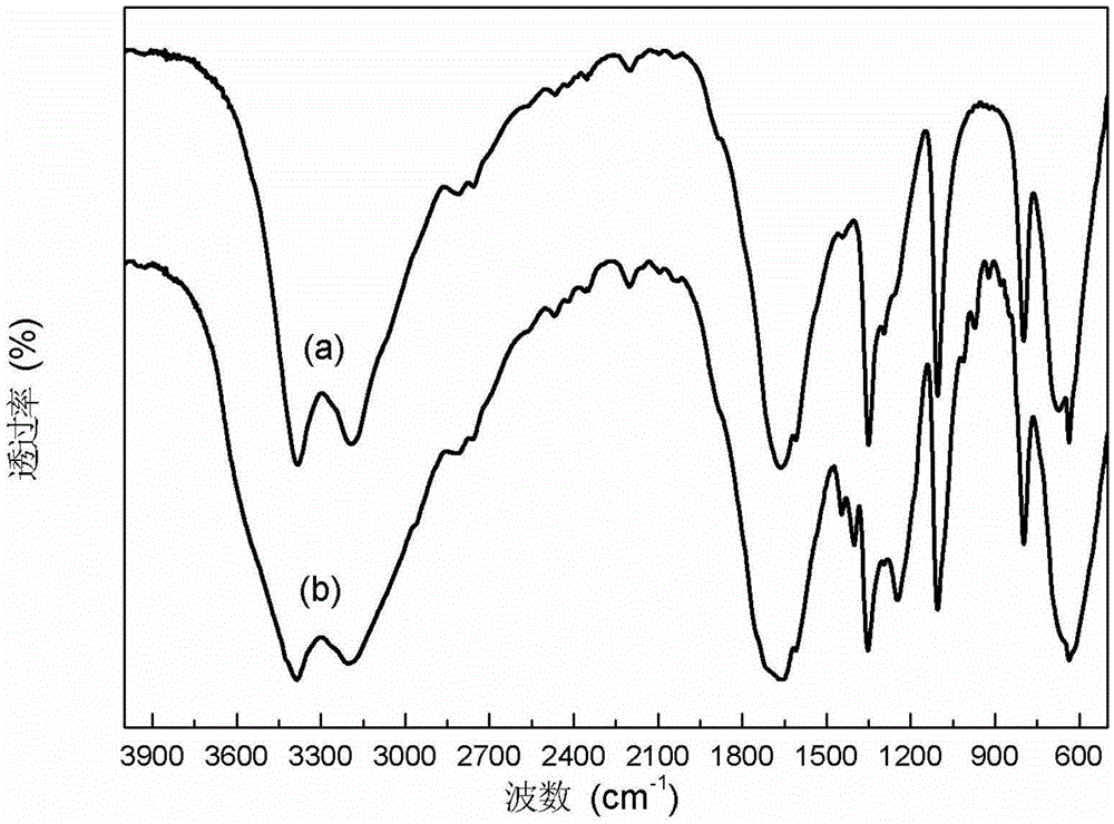 Process method of co-production of oxamide and carbamic acid ester through ammonia ester exchange method