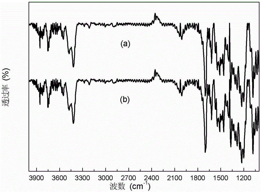 Process method of co-production of oxamide and carbamic acid ester through ammonia ester exchange method