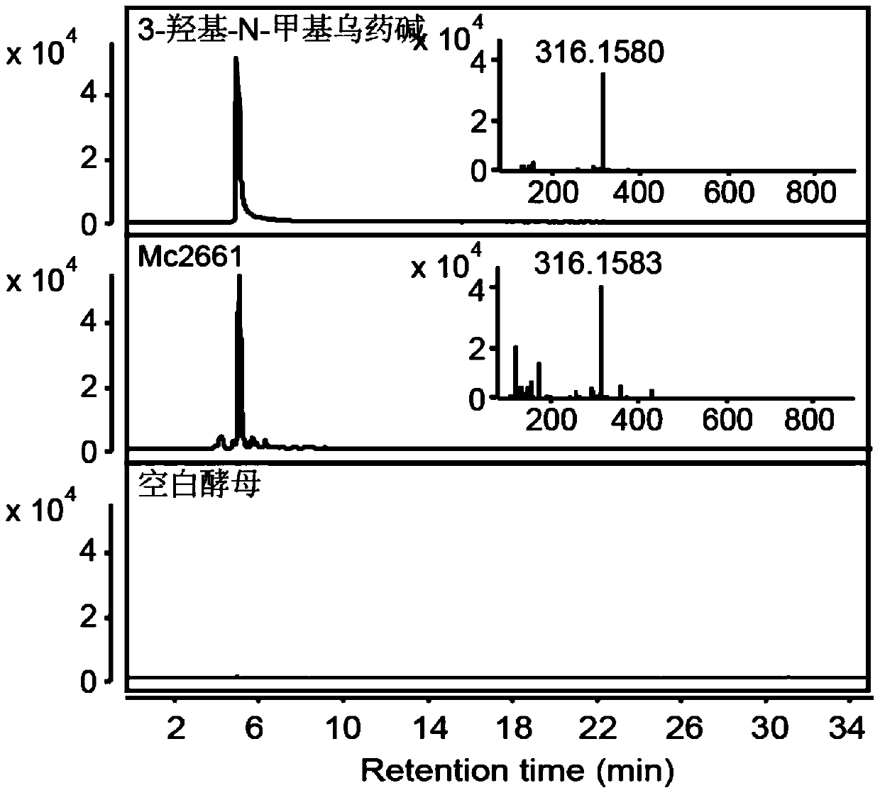 Cytochrome p450 gene involved in the synthesis of sanguinarine and chelerythrine in Bo Luohui and its application