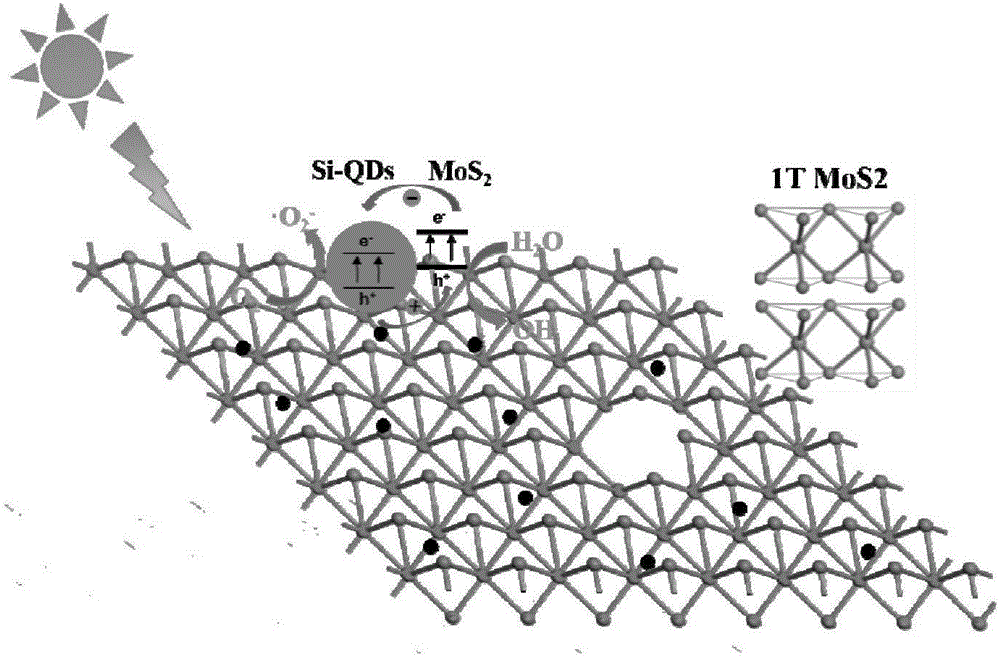 Method for synthesizing molybdenum disulfide by aid of quantum dots