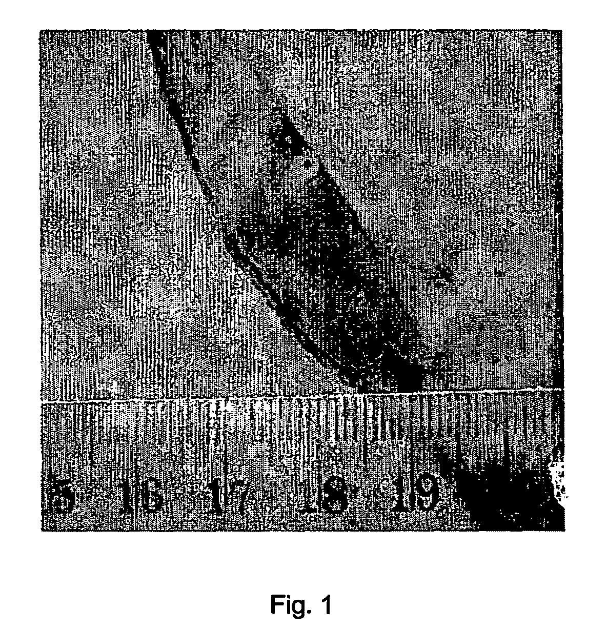 Method for soil remediation and engineering