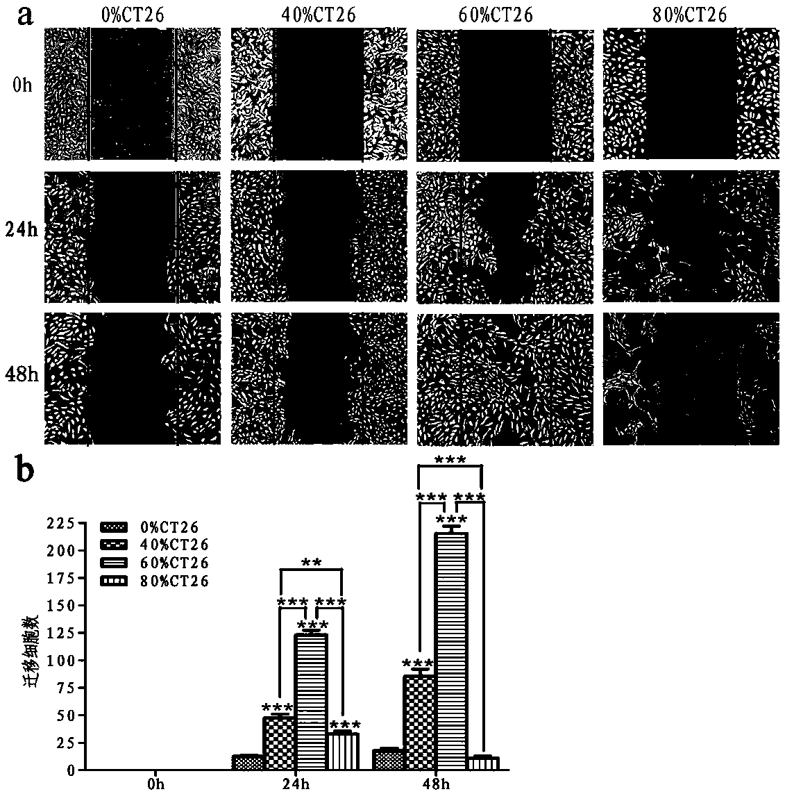Cancerous human umbilical vein endothelial cell vaccine and application thereof in resisting cancers
