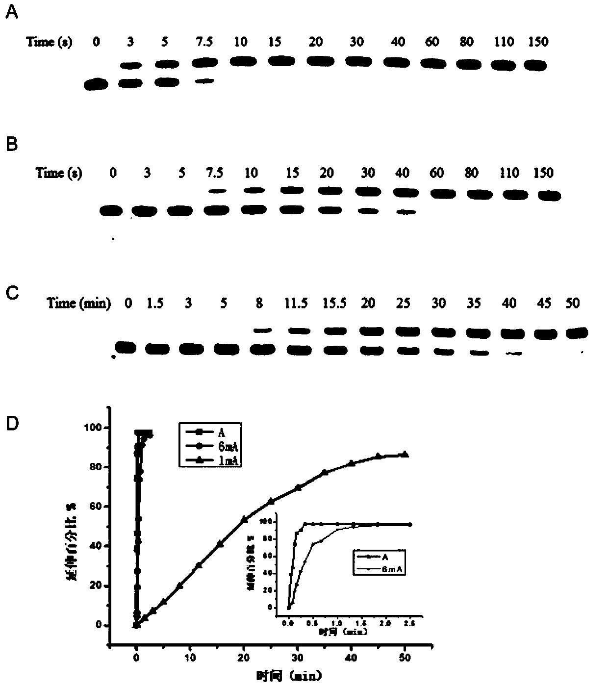 Method for detecting methylation modification of adenine N6 or N1 locus in nucleic acid by means of dUTP or dTTP