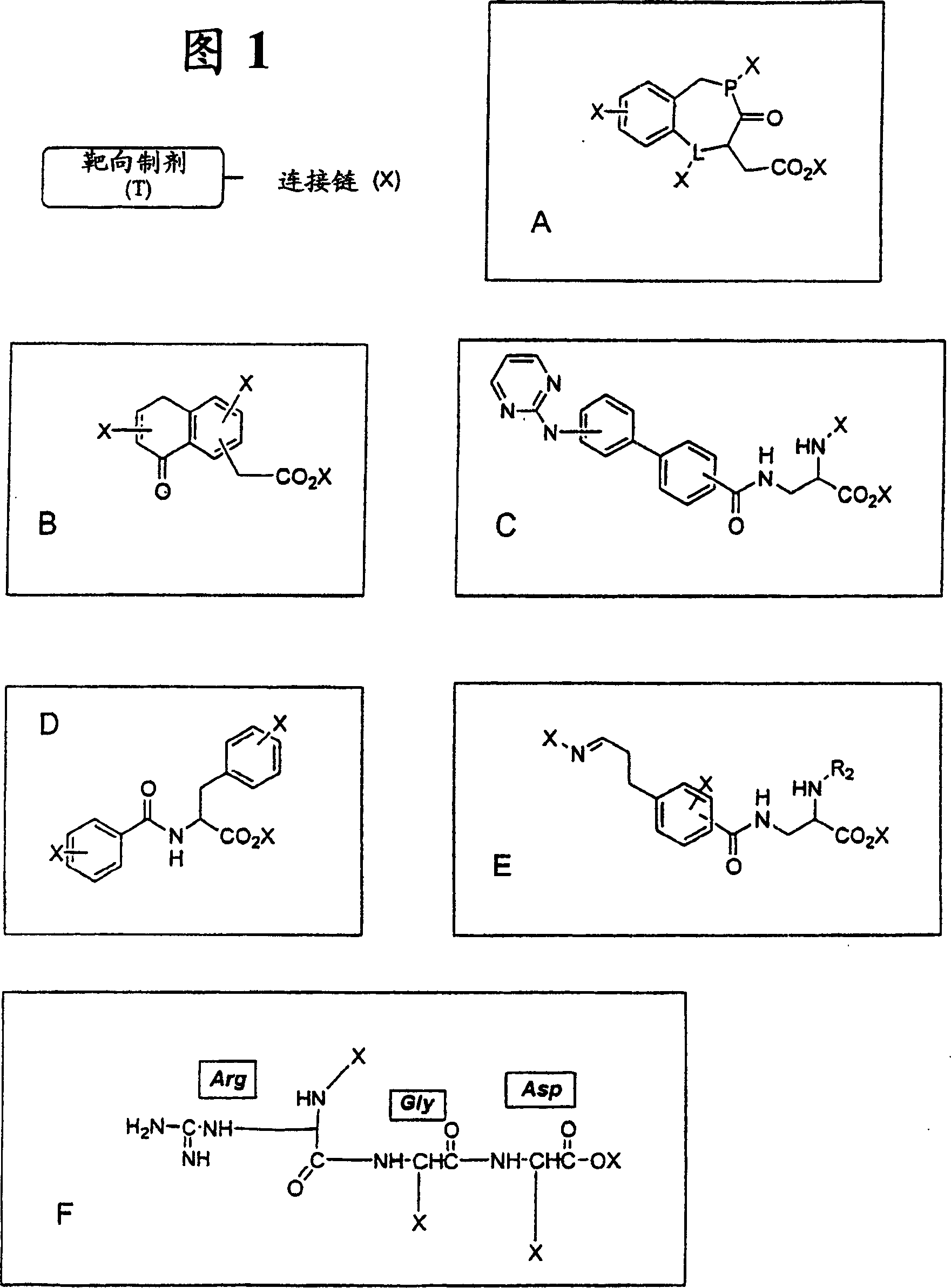 Antibody targeting compounds