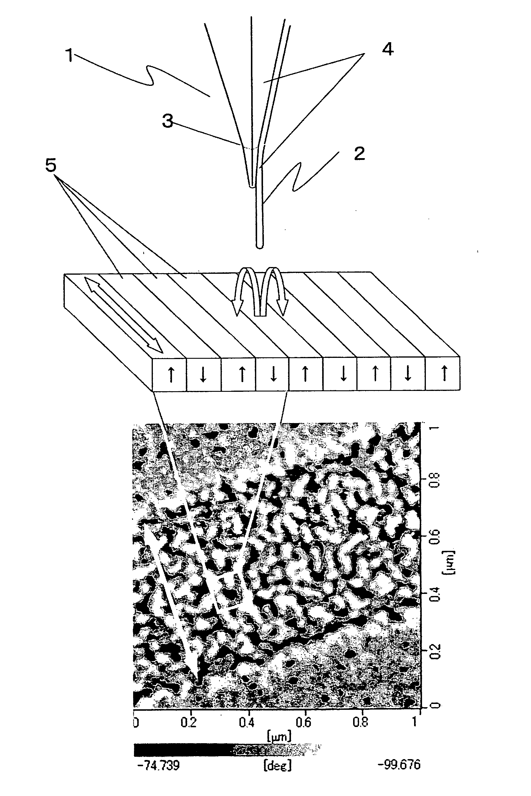 Probe for a scanning magnetic force microscope, method for producing the same, and method for forming ferromagnetic alloy film on carbon nanotubes