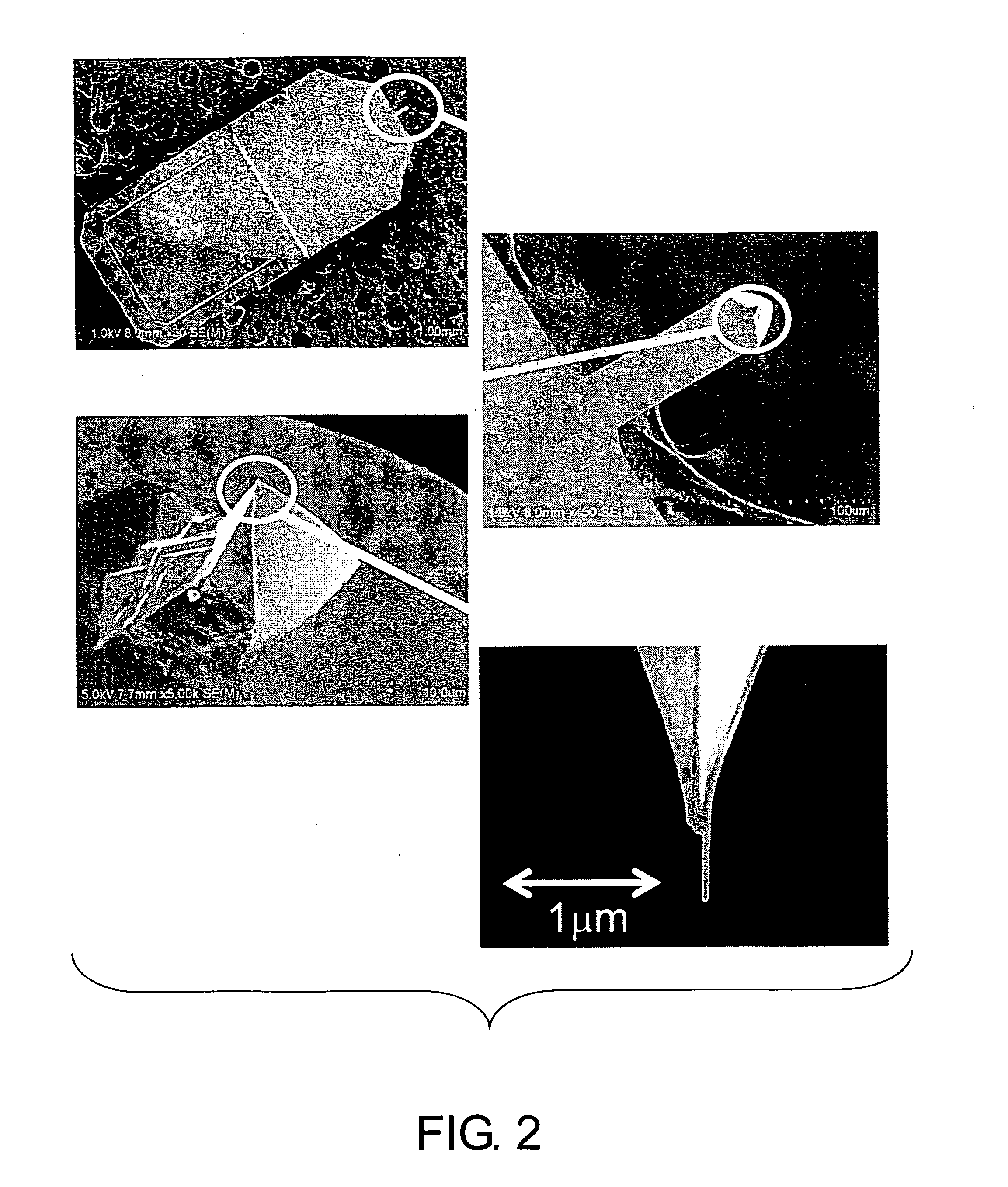 Probe for a scanning magnetic force microscope, method for producing the same, and method for forming ferromagnetic alloy film on carbon nanotubes