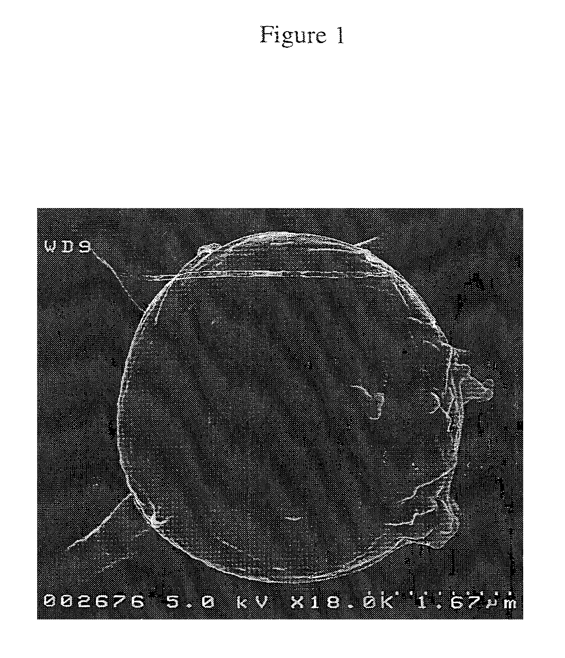 Method of water purification