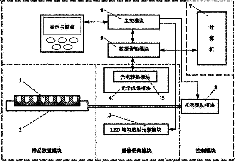 Device and method for analyzing transmission type charge-coupled device (CCD) imaged image