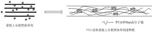 PVA (polyvinyl alcohol)/starch slow release thin film with herbicide controlled-release property and preparation method thereof