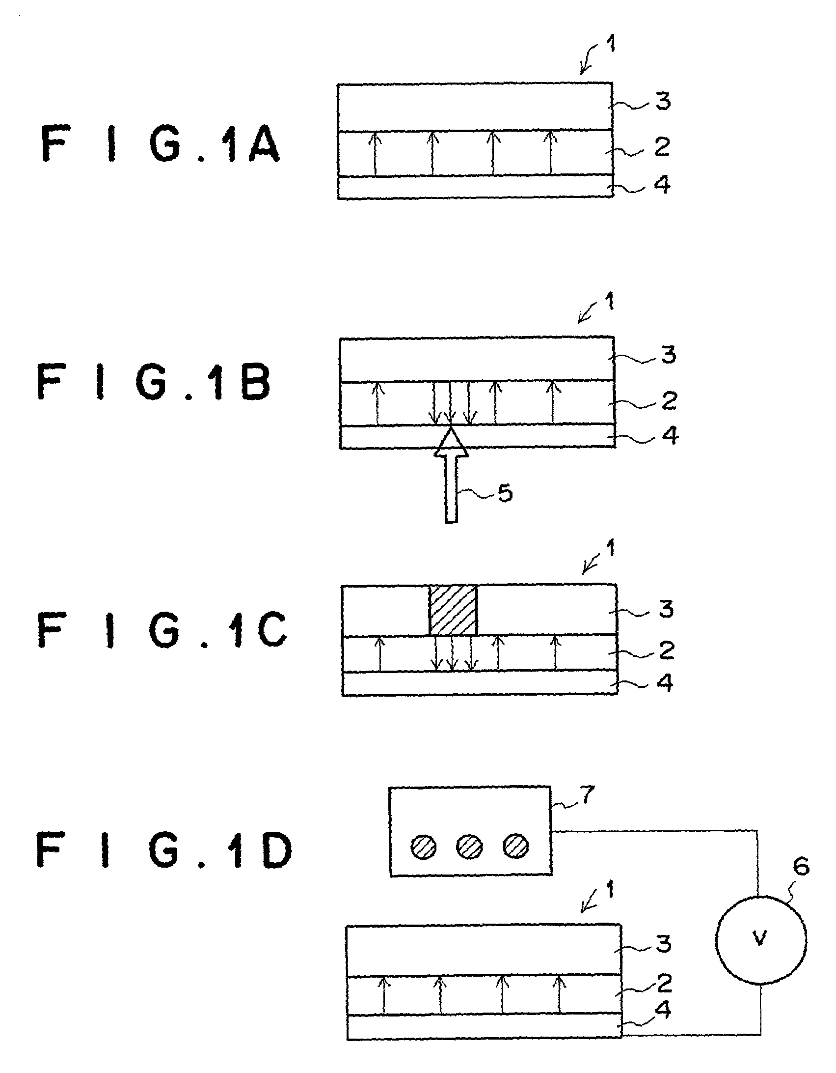 Method and apparatus for displaying image by producing polarization inversion in ferroelectric member and producing contrast in contrast production member