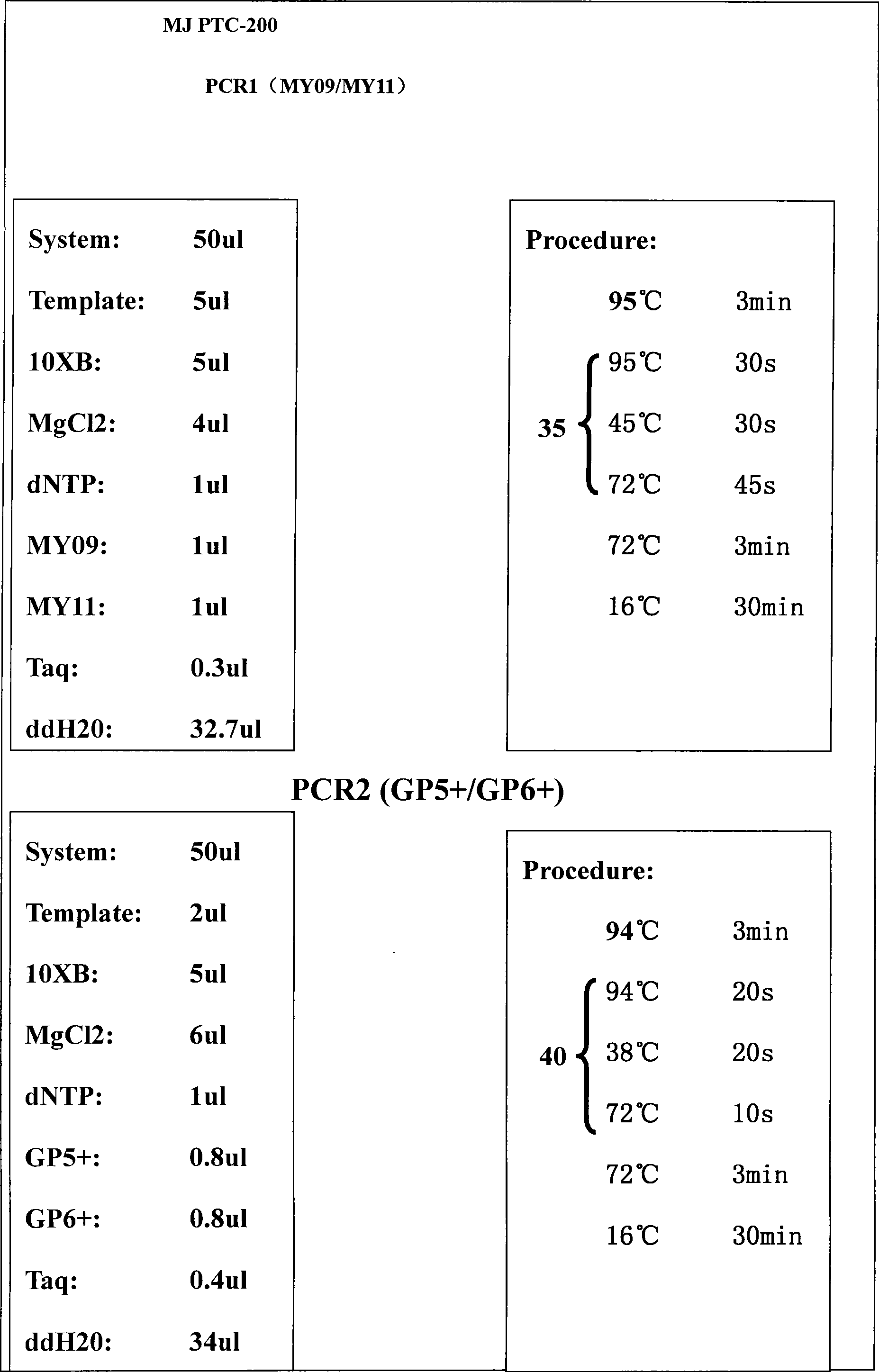 Typing method for human papilloma virus gene