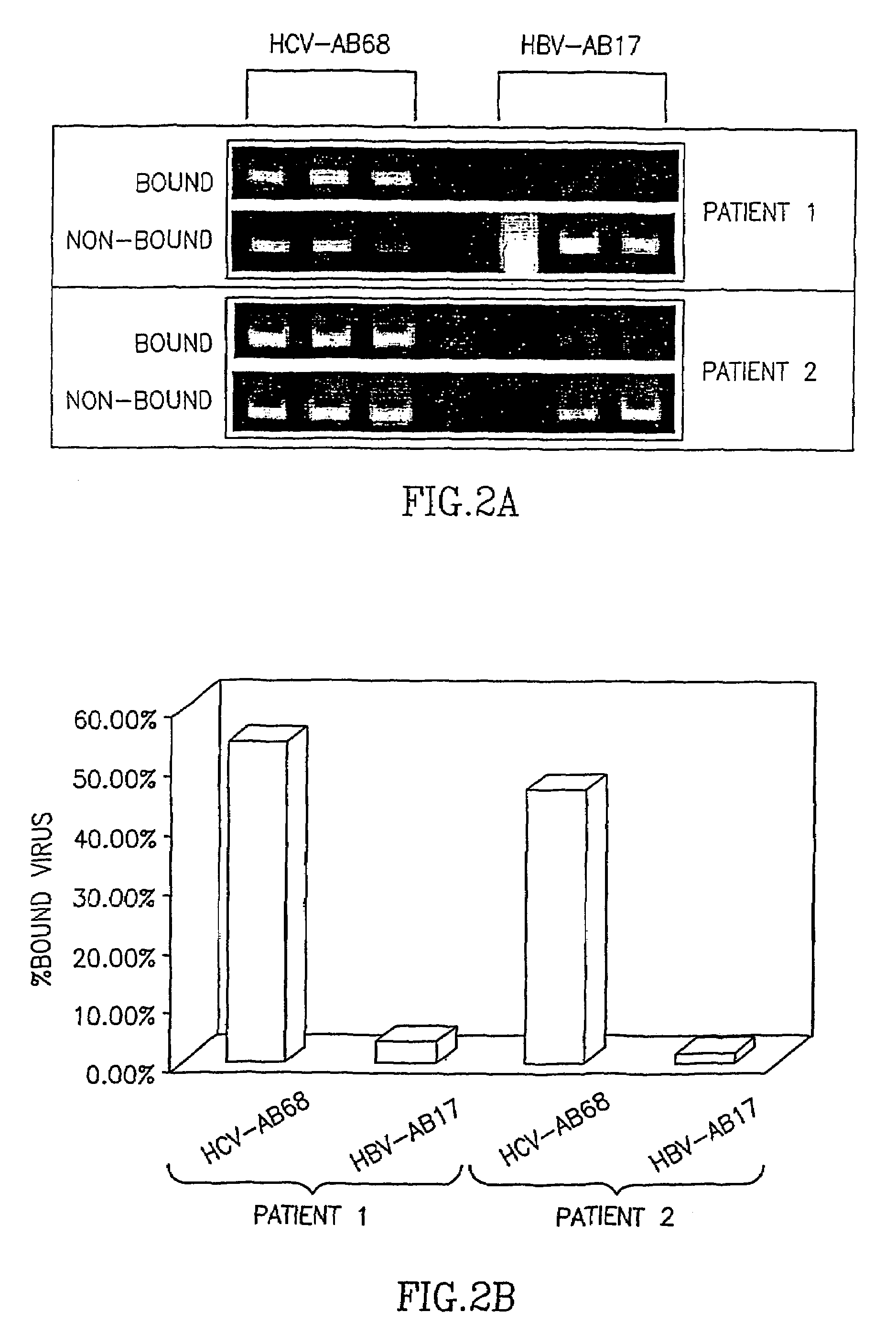 Human monoclonal antibody against hepatitis C virus E2 glycoprotein