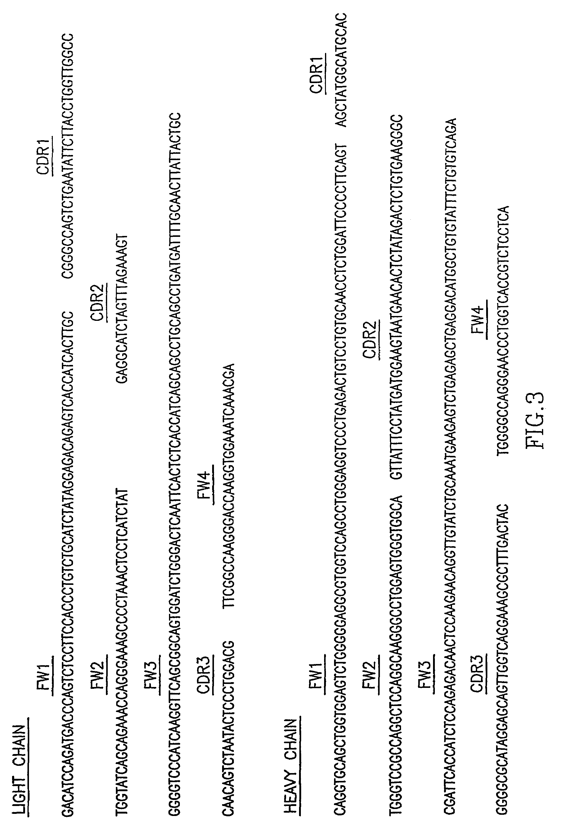 Human monoclonal antibody against hepatitis C virus E2 glycoprotein