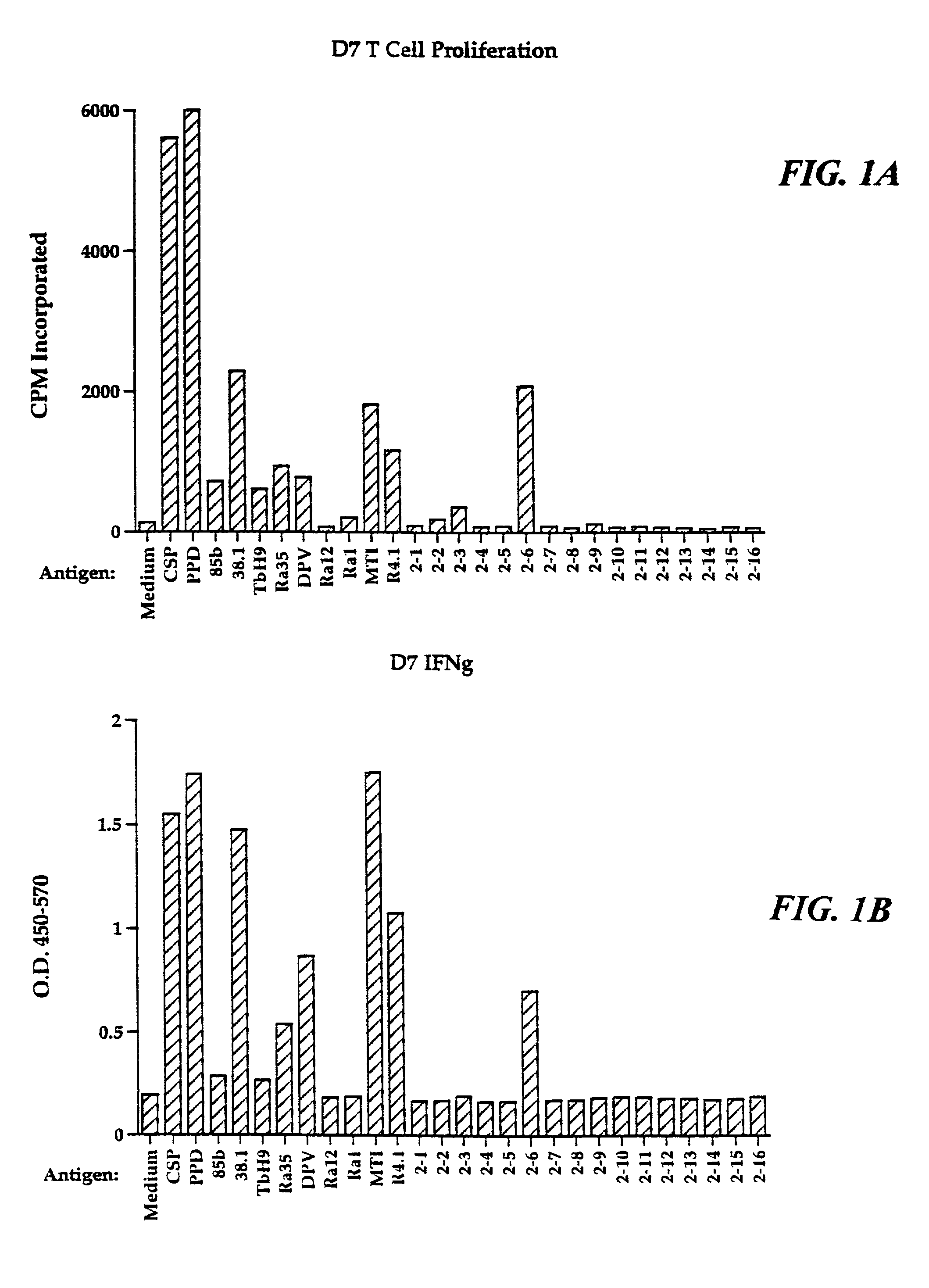 Compounds for diagnosis of tuberculosis and methods of their use