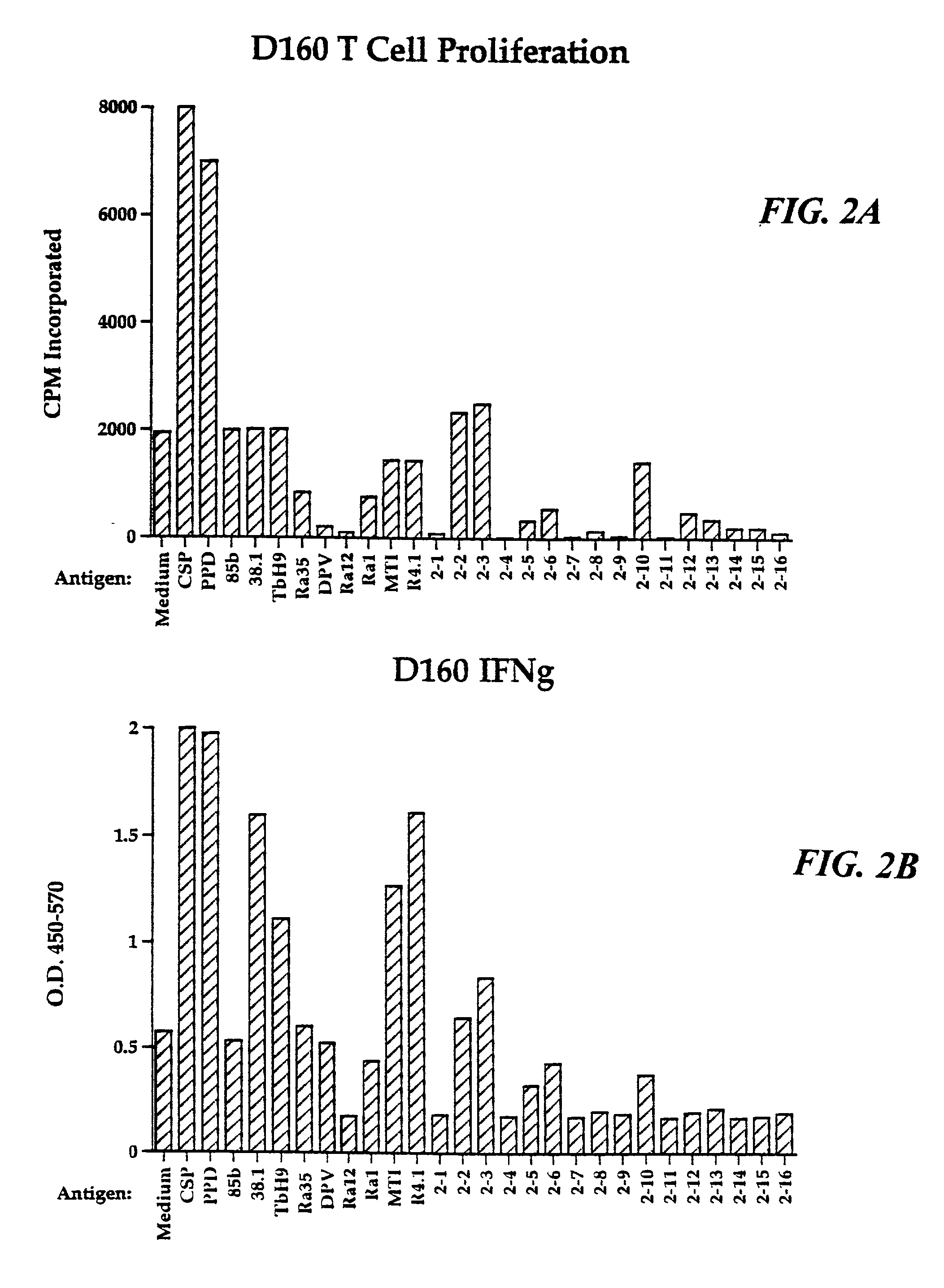 Compounds for diagnosis of tuberculosis and methods of their use