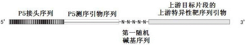 Amplicon primer and establishment method for establishing variable region sequencing library of microorganism bacterium 16s rDNA