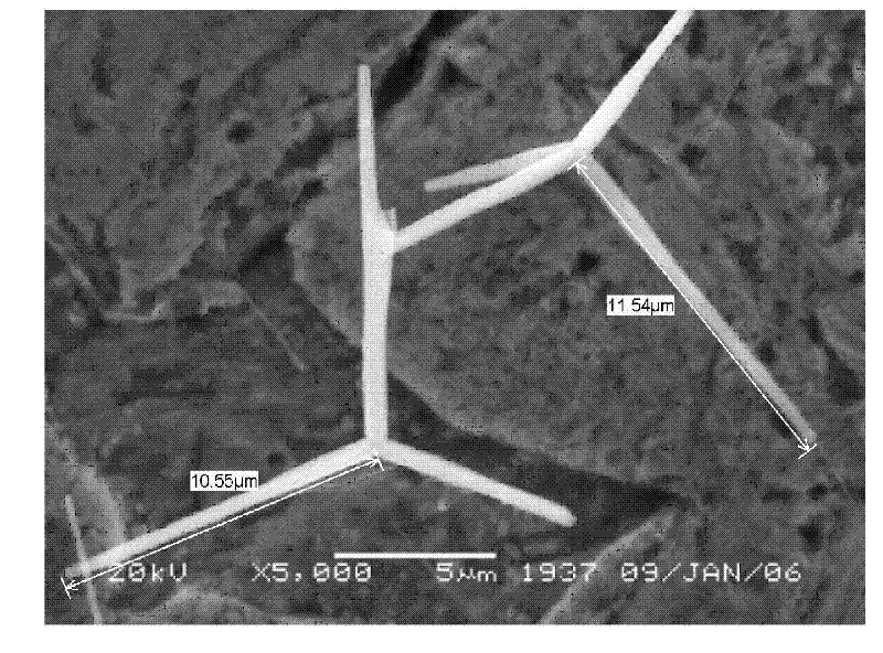 Modified T-ZnOw antibiotic material and preparation method thereof