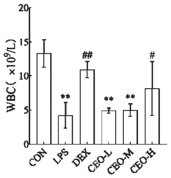 Application of golden tea volatile oil in the preparation of LPS-induced acute lung injury protection medicine