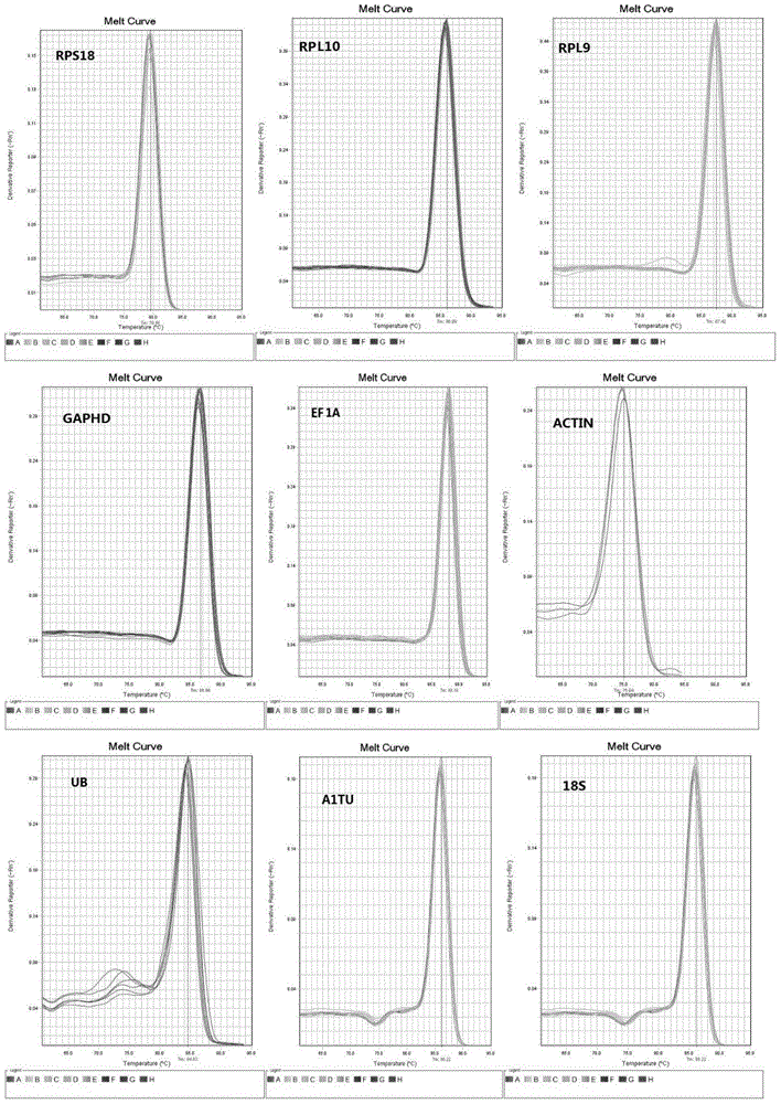 Reference genes stably expressing sogatella furcifera at different ages, screening method and application thereof