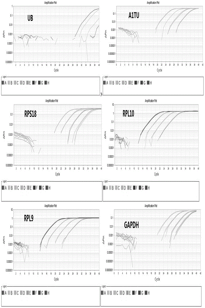 Reference genes stably expressing sogatella furcifera at different ages, screening method and application thereof