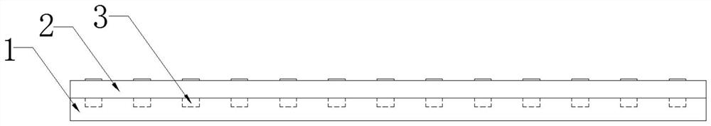 A shoe sole conforming to the principles of biomechanics