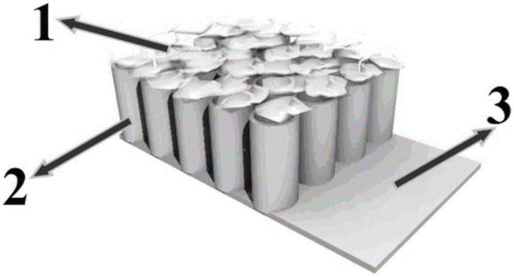 A nitrogen-doped titanium dioxide nanotube array enzyme electrode and its preparation method and application