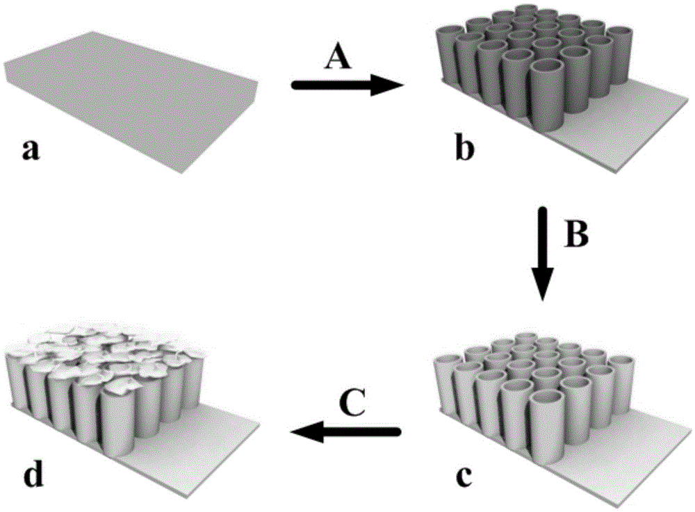 A nitrogen-doped titanium dioxide nanotube array enzyme electrode and its preparation method and application