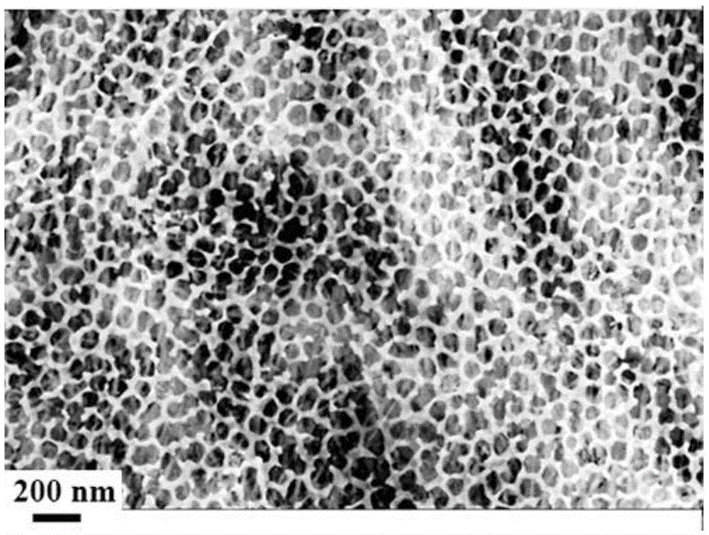 A nitrogen-doped titanium dioxide nanotube array enzyme electrode and its preparation method and application