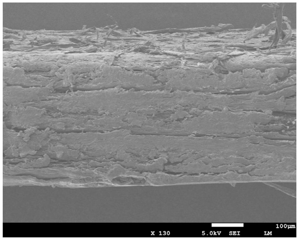 Ultrahigh-content cellulose reinforced polymer composite material with shell-like structure and preparation method thereof